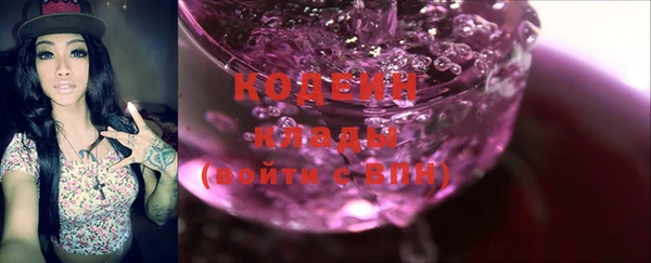 крисы Горняк