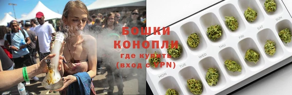 молекула духа Горно-Алтайск