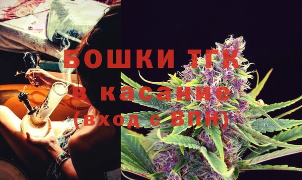 крисы Горняк