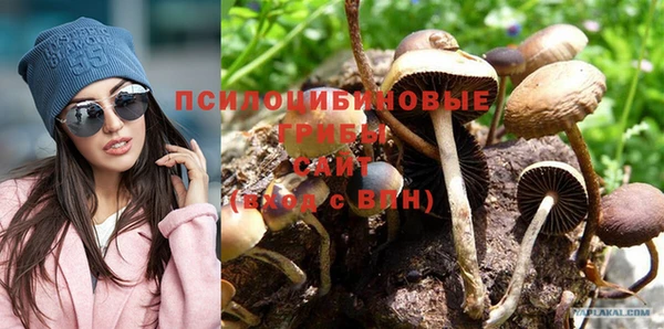 крисы Горняк