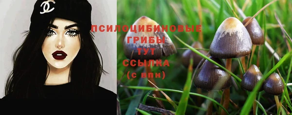 крисы Горняк