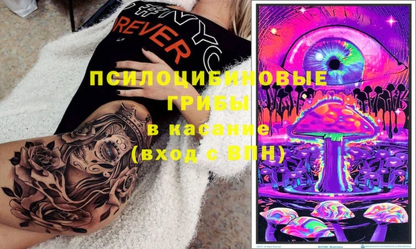 крисы Горняк