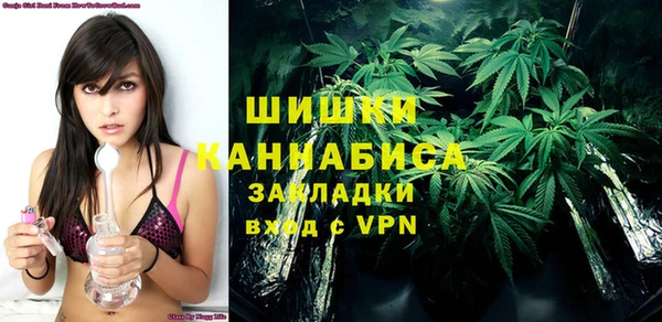 крисы Горняк