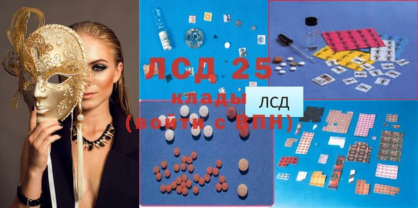 крисы Горняк