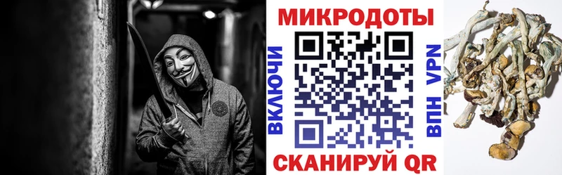 Купить  Ленинск-Кузнецкий  Галлюциногенные грибы Cubensis 
